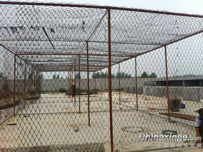 ���ݾ����������(ͼ)