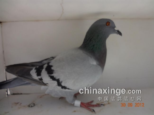 ��̨���350����ǰʮ���񽱸���(ͼ)