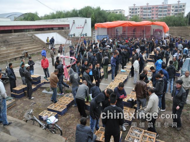 ͨ��500�����ر��׹ظ��ٹ鳲(ͼ)