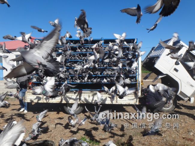 2000���׷���