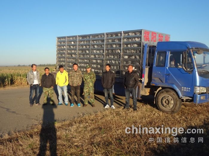 ���������̽�����300����Ԥ������(ͼ)