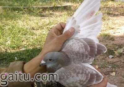 �ػʵ�500�������ǰʮ��(ͼ)