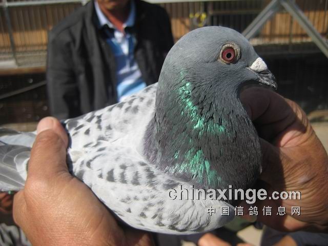 ��������350����һ����ǰ22��(ͼ)