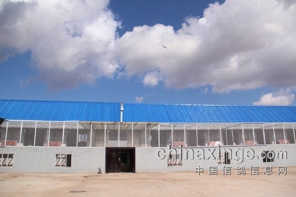 �ڶ��̴��ɳĮ����ͼ��(ͼ)