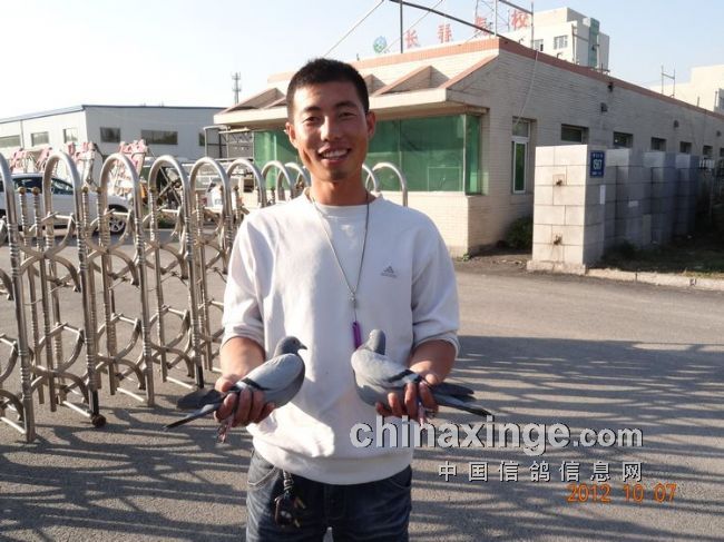 ����500���︴��һ�˶������Ǿ�(ͼ)