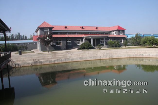 ������������ﵮ����(ͼ)