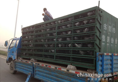 ��Ӫ��Э500�����رȻ���������(ͼ)