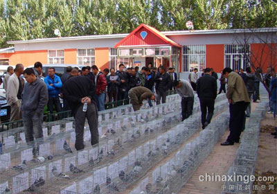 ���츣Ե����ڶ��������Ứ��(ͼ)