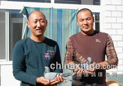 ���������Э300�����������(ͼ)