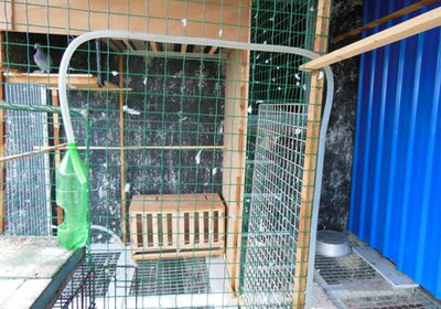 �������н������(ͼ)