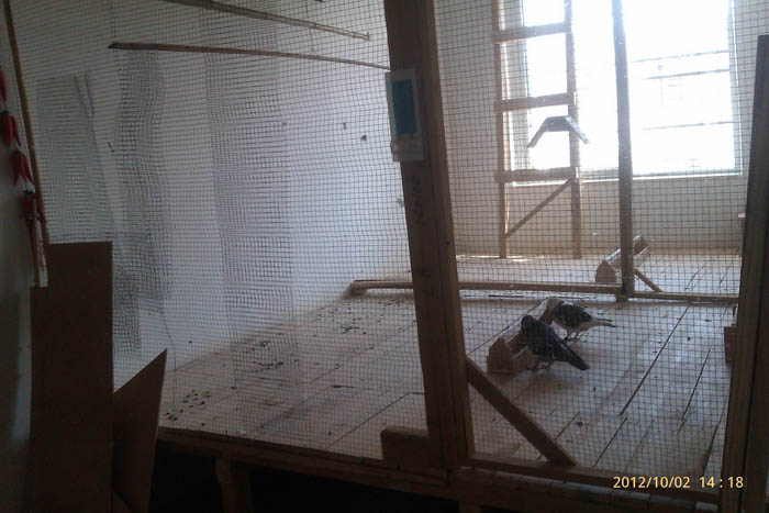 ���ֽ����ָ볲��(ͼ)