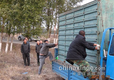 ���ݰ���󽱶��������ڵ»����(ͼ)