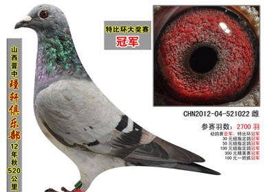 ������������ֲ�����ǰʮ(ͼ)