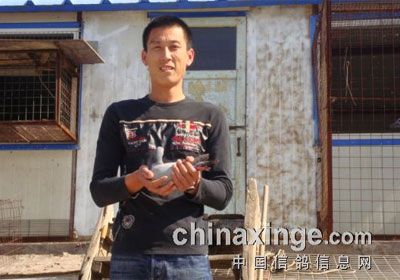 ���������ֻ�550��������ǰʮ��(ͼ)