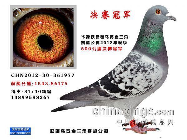 �½������ǹ���ǰ50������(ͼ)