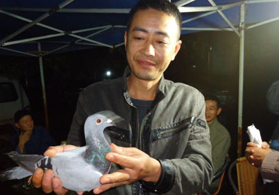 �����رȷ������� �����ھ����ѹ鳲(ͼ)