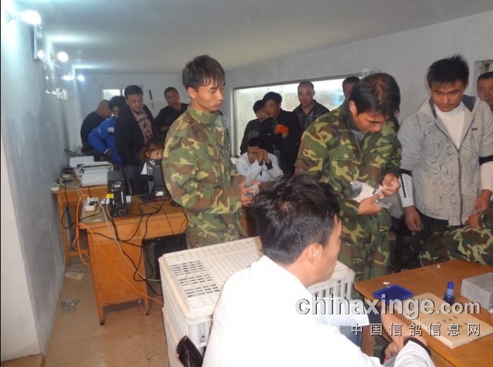 �����̽�������վ���(ͼ)