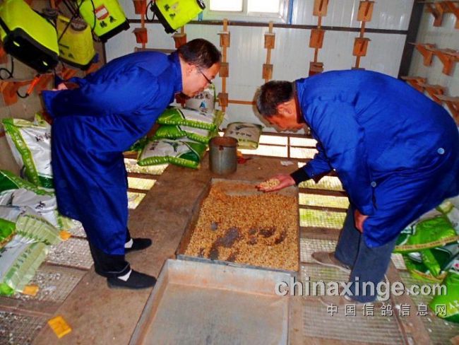 ��ľ�������һ�ر�������(ͼ)