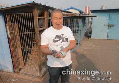 ��ɽ��ˮ���ֲ�300�������ʵ��(ͼ)