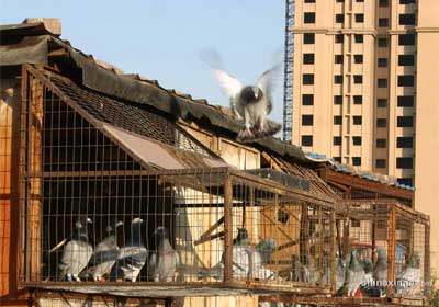 ���������ع鳲7.8% �ۺ�ǰʮ������(ͼ)