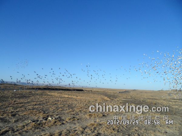 ʯ���������رȲд�27��