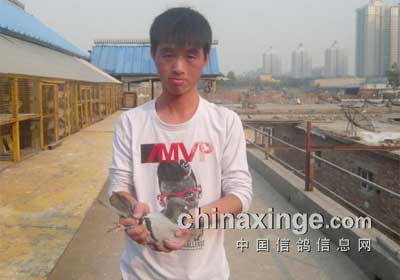 �����������300�������ǰʮ��Ƭ