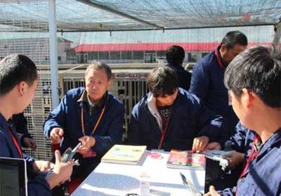 ������ľ����500��������ɼ���¯(ͼ)