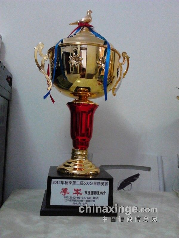 ������ҵ������ߡ�(ͼ)