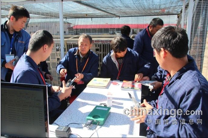 ������ľ��������������(ͼ)