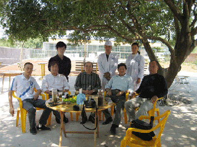 ���к���˫����������(ͼ)