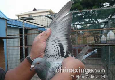 �ػʵ�200����ڶ�վǰʮ����Ƭ