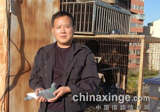 ������600Ԫ�رȻ���һ��ǰʮ��(ͼ)