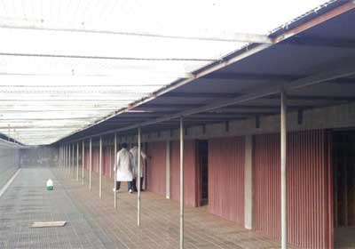 ����������ֲ�500����ɼ���¯