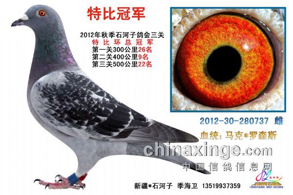 ʯ���������ر��ۺ�ǰʮ������(ͼ)