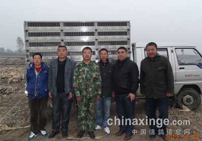 ����1116Ԫ�رȵ����ص»ݿ���(ͼ)