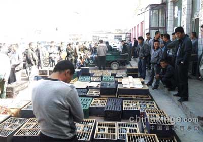 ���ɴ����رȻ������ۺϳɼ���¯(ͼ)