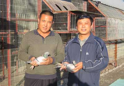 ����ʯ��ɽ300����ǰʮ�����(ͼ)