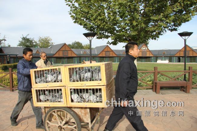 ��Ƶ���������˱��׹�450������ǹ(ͼ)