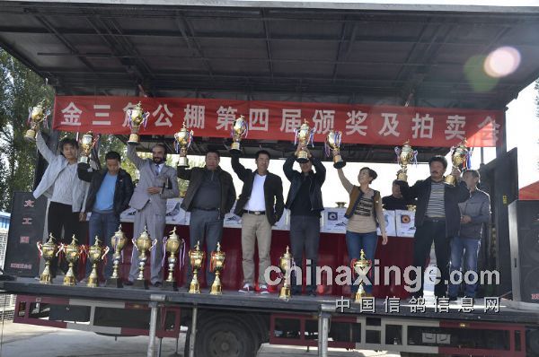 �½����ս����ǹ�����������(ͼ)