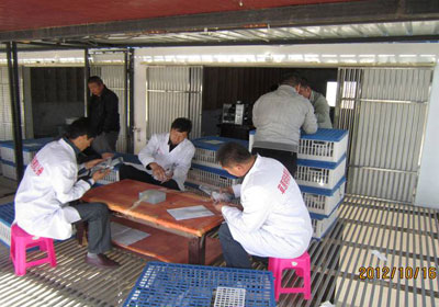 ��ԭ���鹫��300����Ԥ���ɼ�(ͼ)