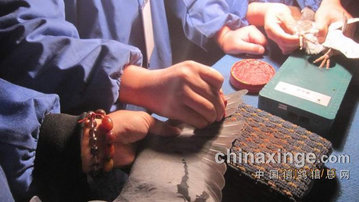 �������蹫���һ�ؼ����ֳ�(ͼ)