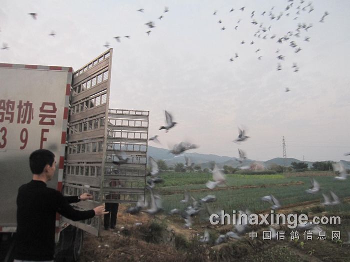 �������450���︽�����ɼ�(ͼ)