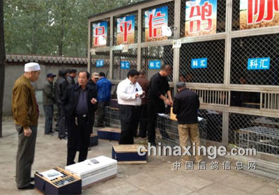 ������ƽ���270����ɼ���¯(ͼ)