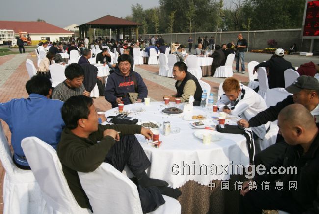 �����ߡ���ӥ���ء��ڶ��ؽ������¼���