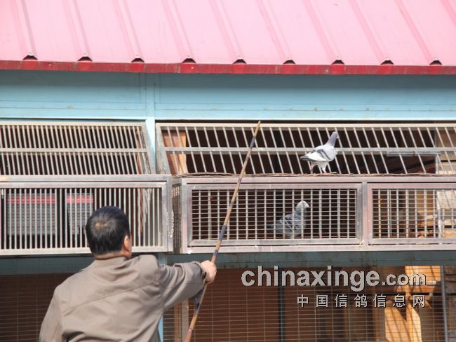 ���������رȵ��չ�ų� �ȸ��ֳ�����(ͼ)