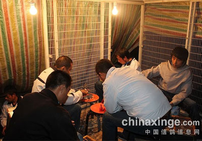 ��������200��������������(ͼ)