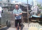 һ·��� �鳲Ϊ����˲ҵ���(ͼ)