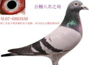 ̸̸ָ����ļ���(ͼ)