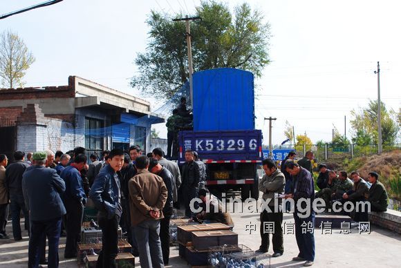 ̫����500���Ｏ�뻨��(ͼ)