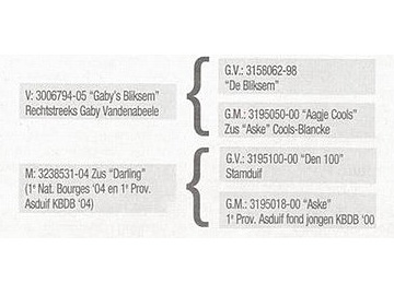 �Ǳ�Ѫϵ�о�(ͼ)